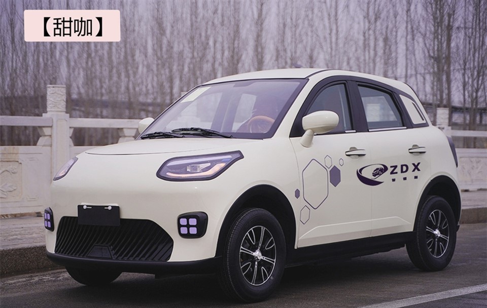 Low Speed Electric Vehicle Mini Car ZDX P15