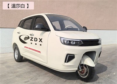 Veículo elétrico EV triciclo ZDX D30